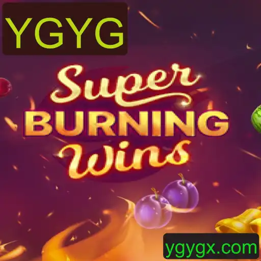 Explorando o Universo de SuperBurningWins e suas Regras Empolgantes